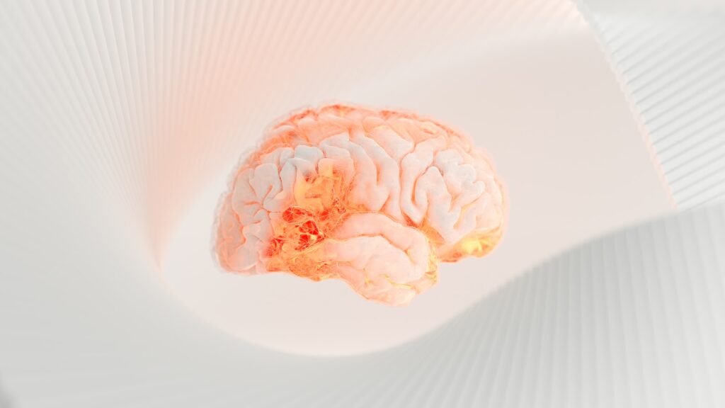 AI（人工知能）の学習方法について紹介。必要なデータセットについても解説